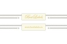 Scellés en plastique Model ST-M244