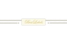 Scellés en plastique Model ST-M248