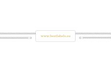 Scellés en plastique Model ST-M249