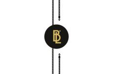 Scellés en plastique Model ST-M32