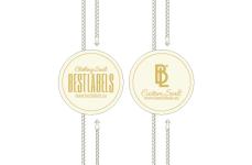 Scellés en plastique Model ST-M92