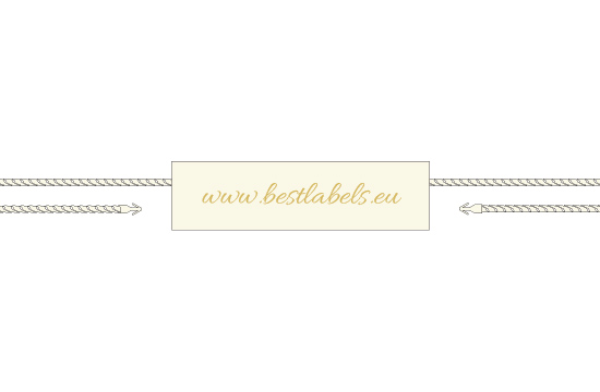 Scellé en plastique Model ST-M264